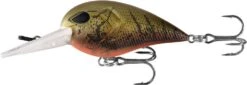 13 Fishing Gordito Squarebill Crankbait 11 13 Fishing Gordito Squarebill Crankbait -Reel Spin Bait Sales 13 fishing g50 7 2 gordito crankbait
