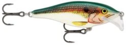 Rapala Scatter Rap Shad -Reel Spin Bait Sales 500 13 457f5eef f48b 412d 848e f86a1d93a5cf