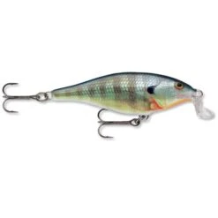 Rapala Shallow Shad Rap -Reel Spin Bait Sales 500 2 dc22274e 9585 4821 b027 1684109e9771