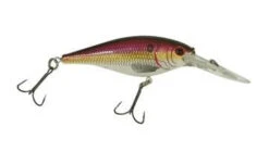 Berkley Flicker Shad 5cm -Reel Spin Bait Sales 639a0a794add17760275f41fc244f0d9 133f972b d609 4916 9f87 6681cb272af3