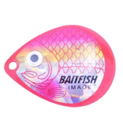Northland Fishing Tackle Baitfish Image Blades 15 Northland Fishing Tackle Baitfish Image Blades -Reel Spin Bait Sales 75231 source 1561470501