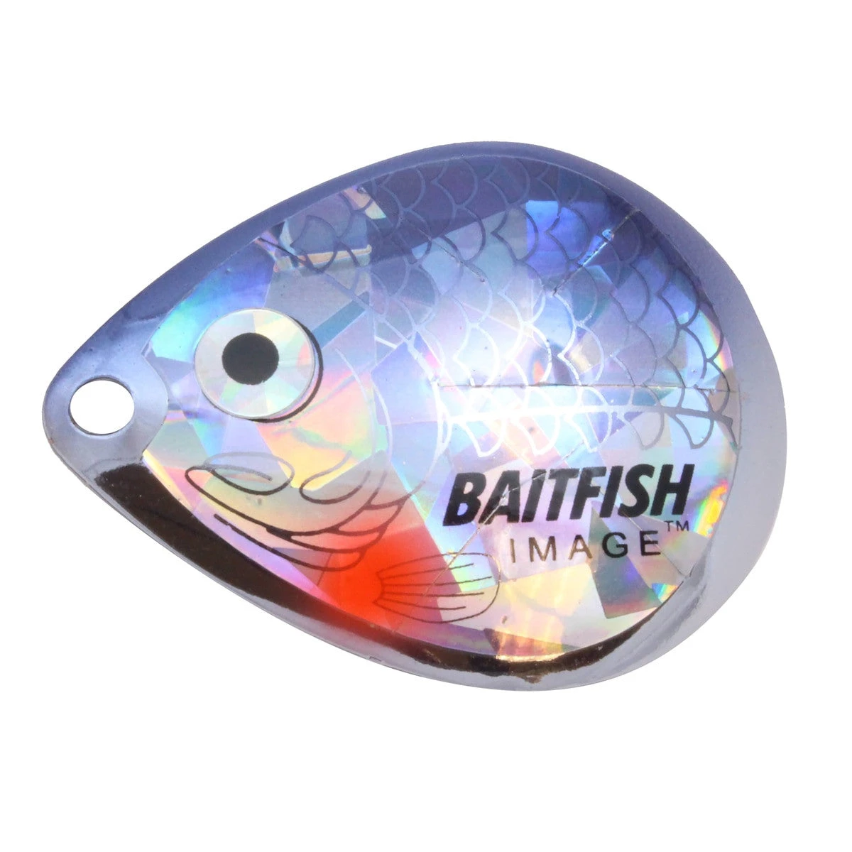 Northland Fishing Tackle Baitfish Image Blades 8 Northland Fishing Tackle Baitfish Image Blades - Image 6