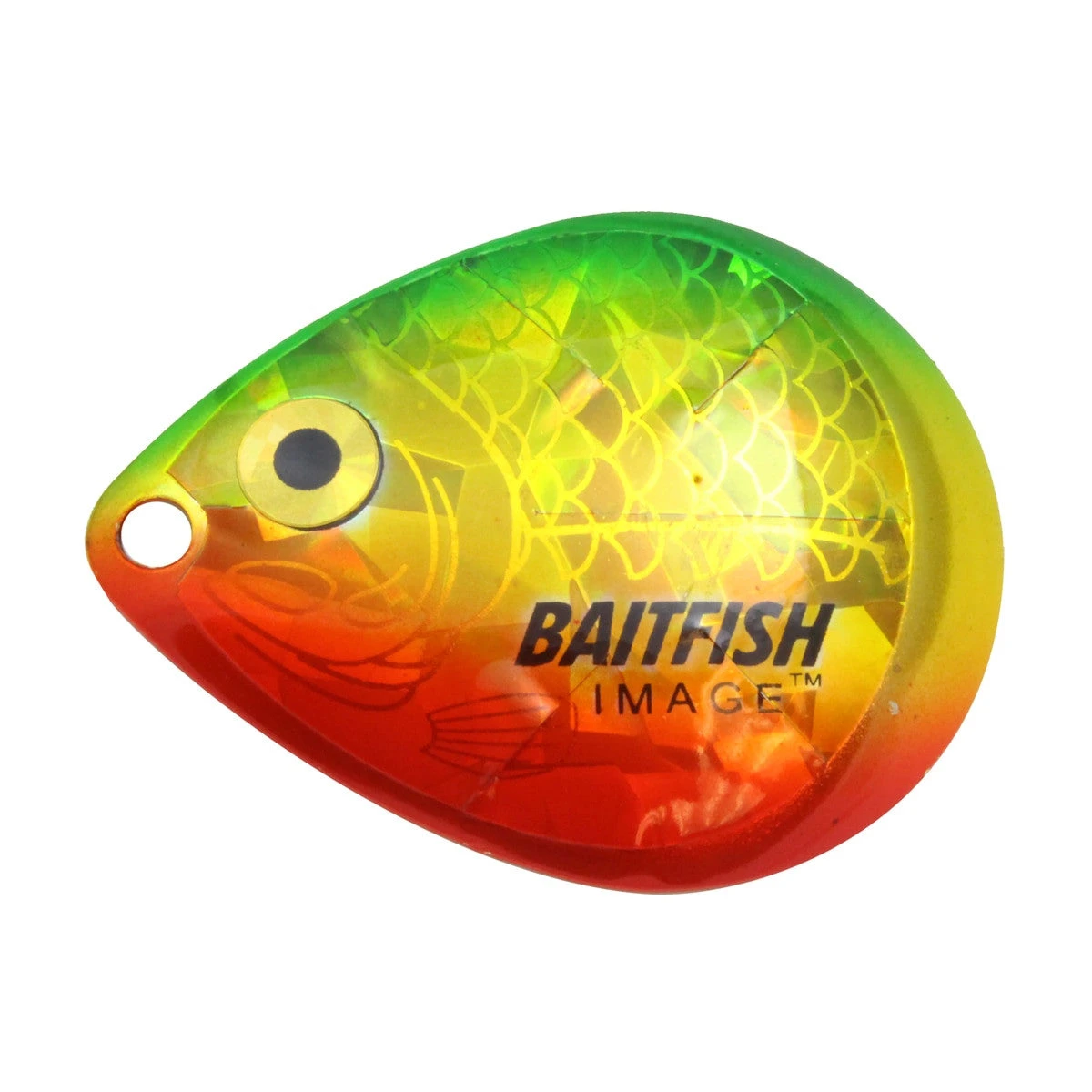Northland Fishing Tackle Baitfish Image Blades 9 Northland Fishing Tackle Baitfish Image Blades - Image 7
