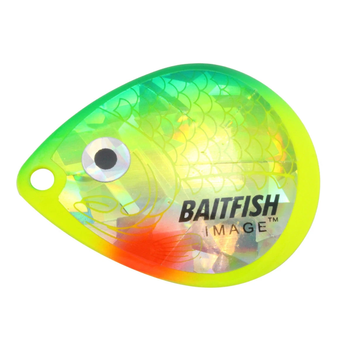 Northland Fishing Tackle Baitfish Image Blades 11 Northland Fishing Tackle Baitfish Image Blades - Image 9