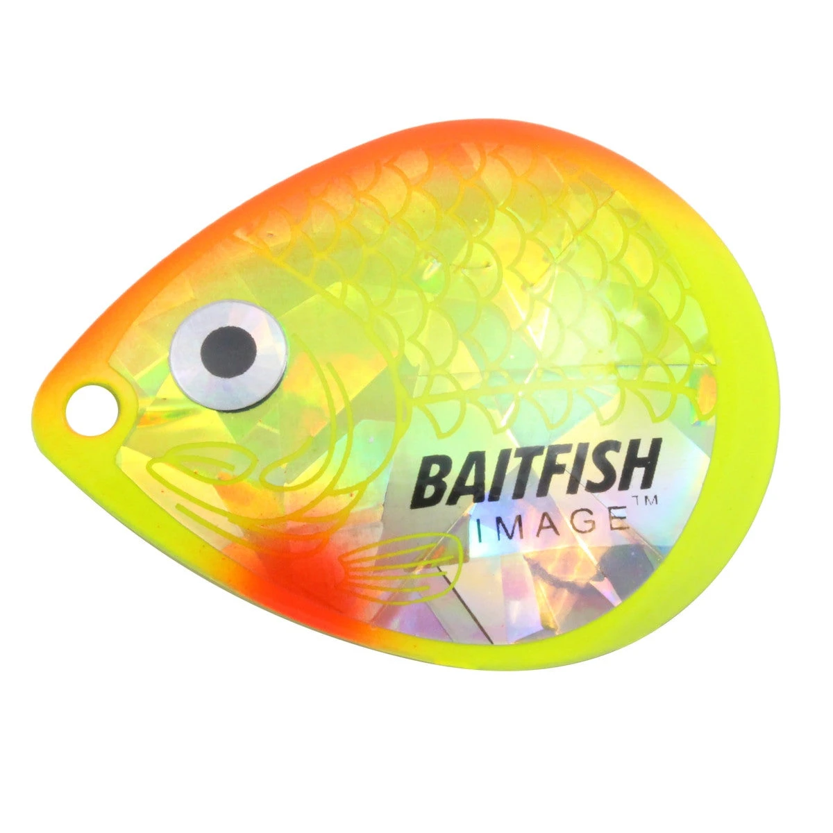 Northland Fishing Tackle Baitfish Image Blades 12 Northland Fishing Tackle Baitfish Image Blades - Image 10
