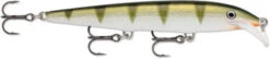 Rapala Scatter Rap Minnow -Reel Spin Bait Sales 8bd29b167acbc2a2e69660284eed3cc8