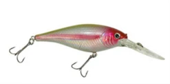 Berkley Flicker Shad 7cm -Reel Spin Bait Sales Chrome Clown 540x 47a47c6a ce1d 43fa a65f 85d450d40546