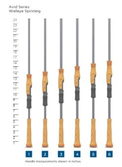 St. Croix St Croix Avid Series Walleye Spinning Rods -Reel Spin Bait Sales SCR HandleChart AvidSeriesWalleyeSpinning