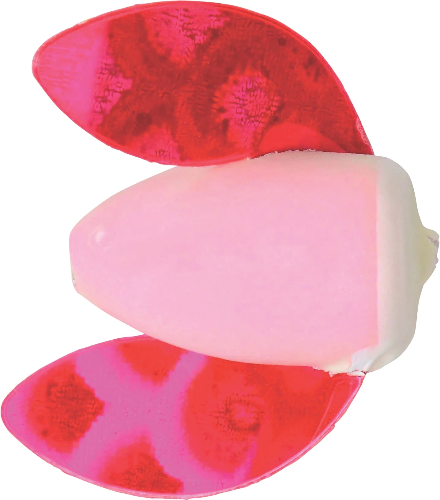 Worden's Spin-N-Glo Body 16 Worden's Spin-N-Glo Body - Image 14