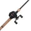 Shakespeare Ugly Stik Elite Baitcast Combo