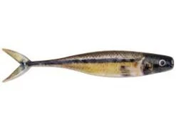 Berkley PowerBait The Champ Minnow -Reel Spin Bait Sales download 2 81e6a83a ff41 4c8f 9078 5e324e6d9d8d