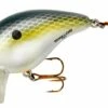Bomber Shallow A Crankbait 1 Bomber Shallow A Crankbait -Reel Spin Bait Sales foxy
