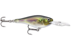 Rapala Glass Shad Rap -Reel Spin Bait Sales glass shad rap gsr07ogh