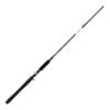 Daiwa RG Trolling Rod -Reel Spin Bait Sales rg
