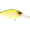 Berkley Money Badger Crankbait -Reel Spin Bait Sales rs 27