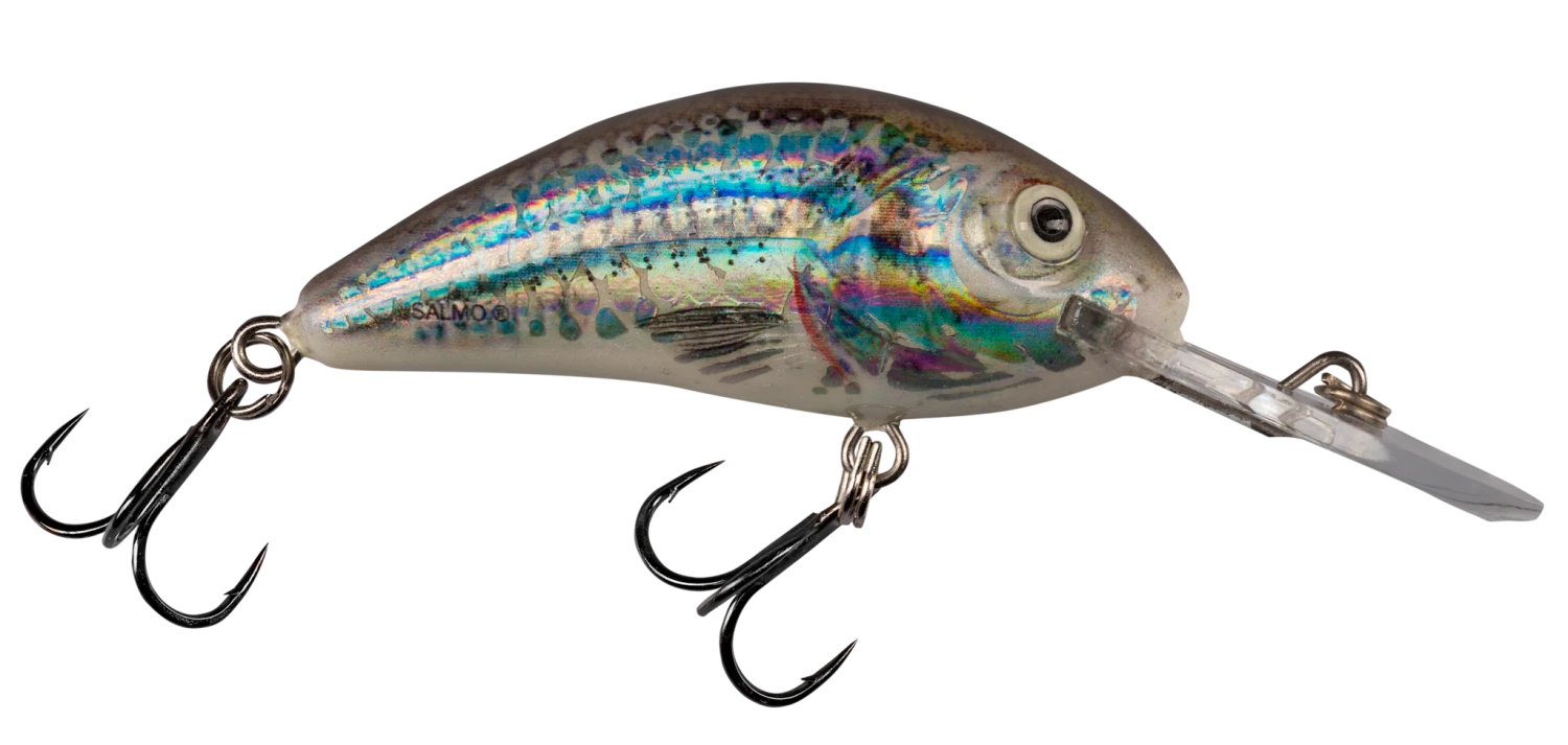 Salmo Rattlin' Hornet 19 Salmo Rattlin' Hornet - Image 17